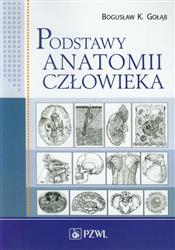 Podstawy anatomii człowieka  Gołąb Bogusław K. PZWL