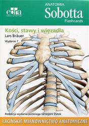 Anatomia Sobotta Flashcards Łacińskie Fiszki Kości stawy i więzadła