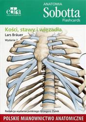 Anatomia Sobotta Flashcards Polskie Fiszki Kości stawy i więzadła