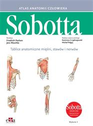 Tablice Sobotta anatomiczne mięśni, stawów i nerwów Angielskie mianownictwo