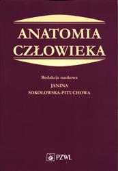 Anatomia człowieka Podręcznik dla studentów medycyny Pituchowa