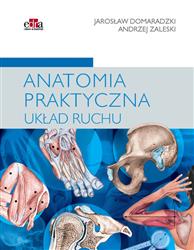 Anatomia praktyczna Układ ruchu - podręcznik dla studentów