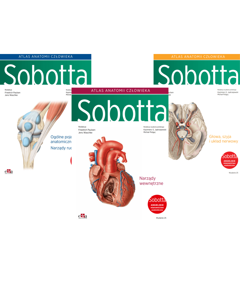 Atlas Anatomii Sobotta Tom 1-3 Angielskie Mianownictwo