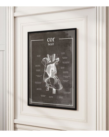 Serce - Plakat Anatomiczny - chalkboard